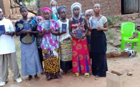 Niger French New Testaments