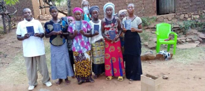 Niger French New Testaments